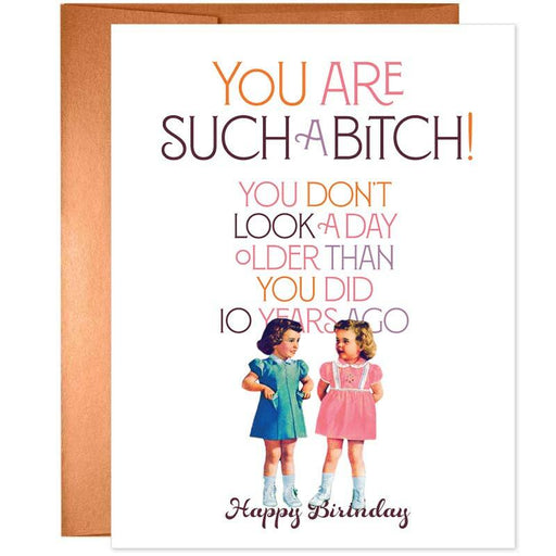You Are Such A B*tch! You Don't Look A Day Older Birthday Card